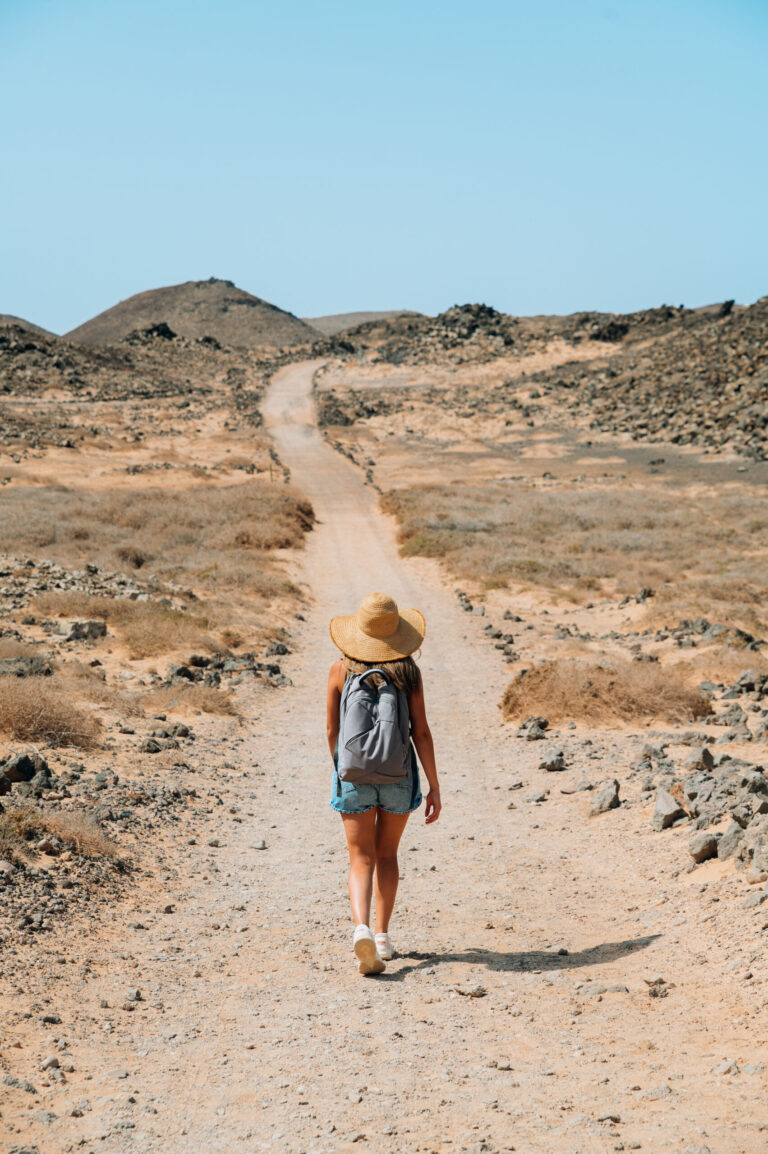 Exploring the Wonders of Africa