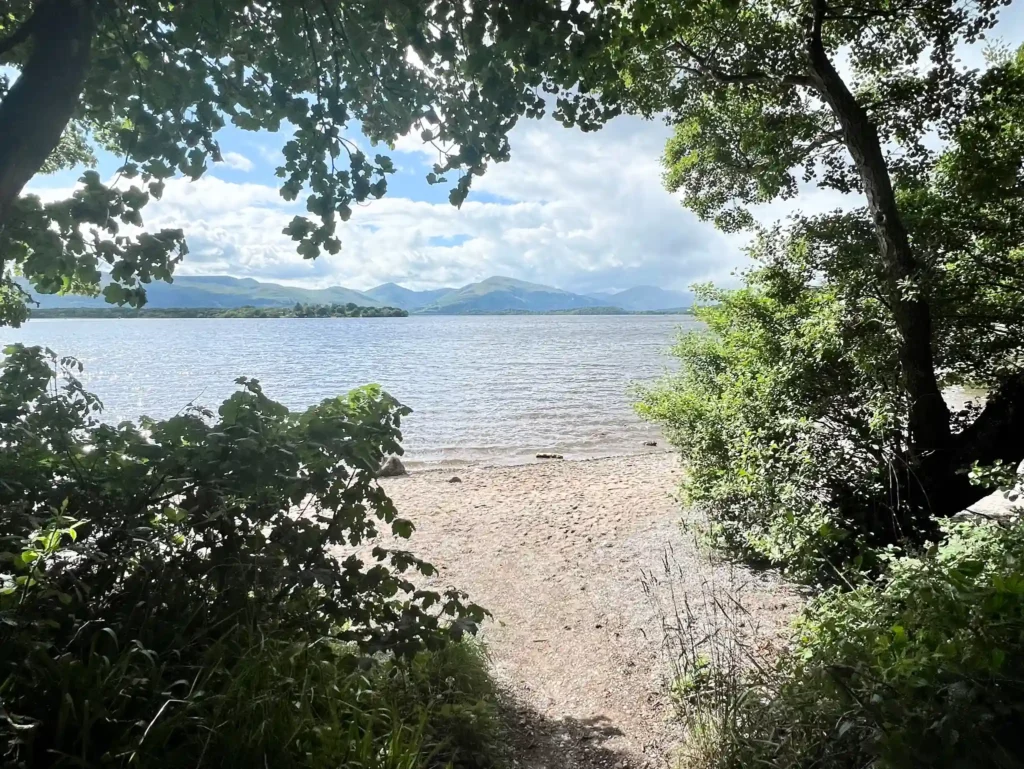 Milarrochy Bay near Balmaha surrounded by trees and greenery overlooking Loch Lomond and its islands.