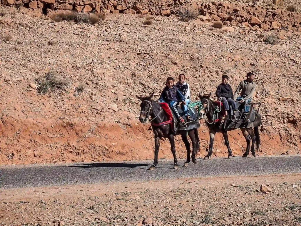 People and horses on the roads through the high atlas mountain range between marrakech, ait ben haddou and ouarzazate