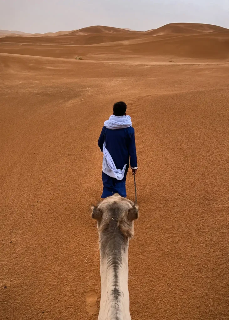 Point of view for sitting on a camel with a Moroccan men leading the camel into the Sahara Desert.