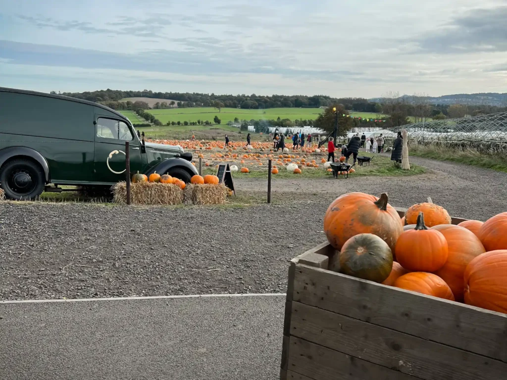 Green Van and bucket of pumpkins with pumpkin patch in the background at Craigie's Farm.