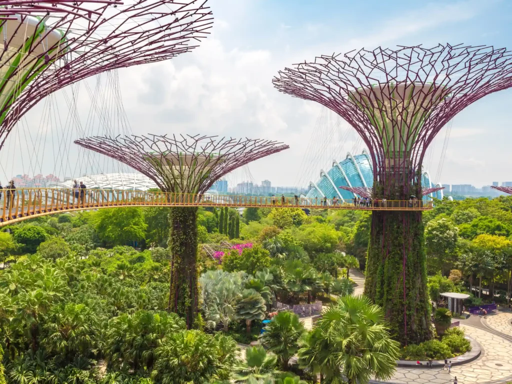 The supertree grove and skyway at gardens by the bay in singapore near marina bay sands hotel.