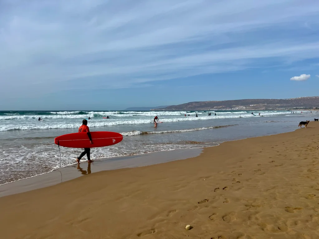 Imourane beach near Taghazout with surfers riding waves and carrying surf boards.